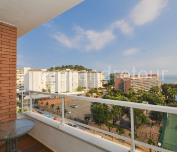 Apartment Surfmar